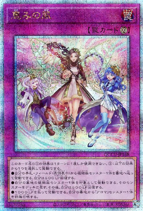 QCCU-JP168 恵みの風 QSE