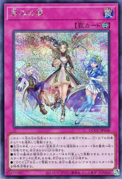 QCCU-JP168 恵みの風 SE