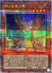 QCDB-JP003 輝ける星の竜 QSE