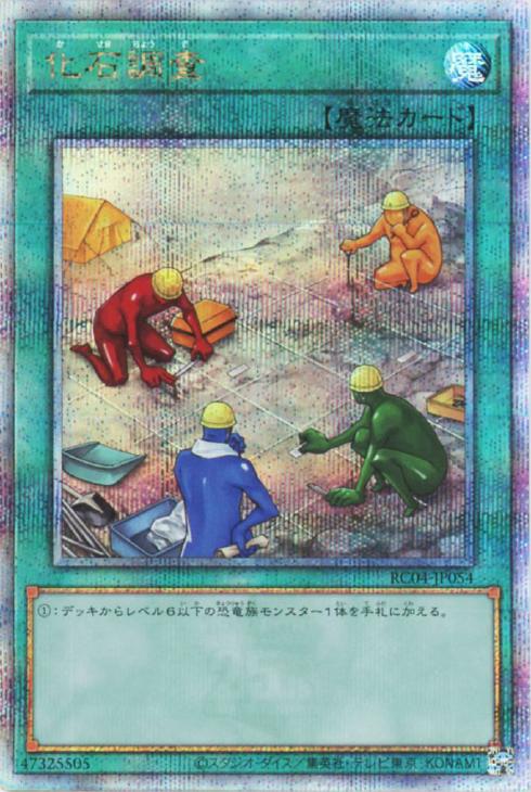 RC04-JP054 化石調査 QSE