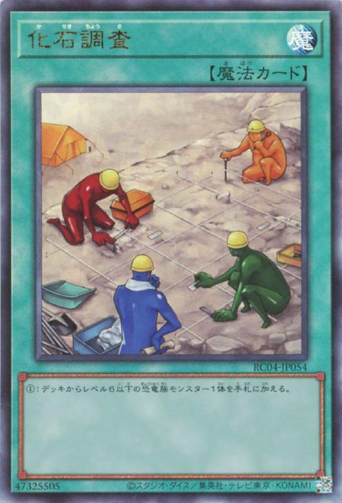 RC04-JP054 化石調査 UL