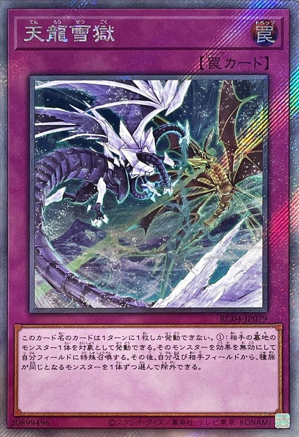 RC04-JP079 天龍雪獄 EXSE