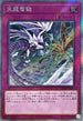 RC04-JP079 天龍雪獄 EXSE