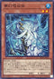 ROTA-JP028 夢幻吸収体 N