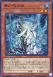 ROTA-JP028 夢幻吸収体 N