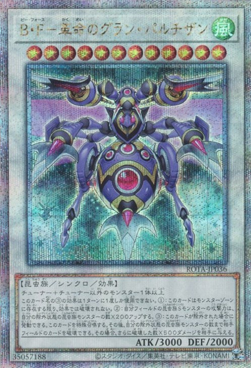 ROTA-JP036 B・F-革命のグラン・パルチザン QSE