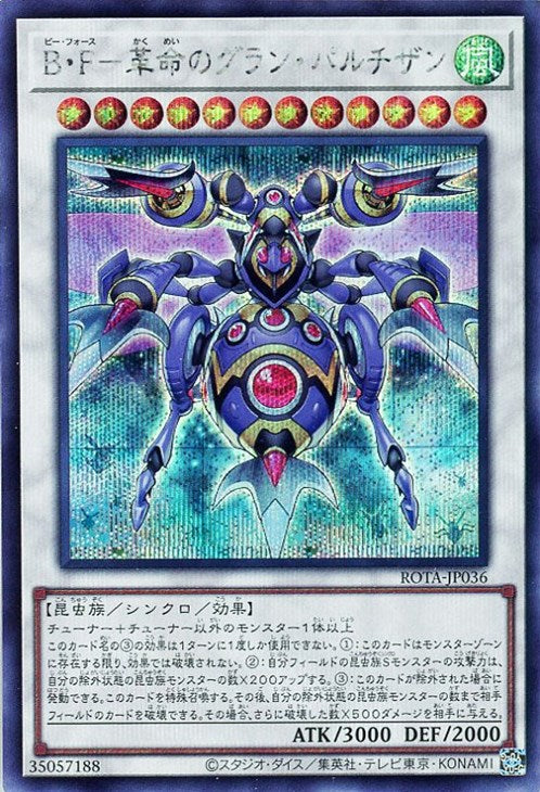 ROTA-JP036 B・F-革命のグラン・パルチザン SE