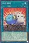 ROTA-JP067 共闘闘君 N