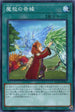 ROTD-JP061 魔救の奇縁 N