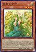 SUDA-JP029 表裏の女神 N