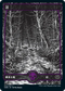 [Janpanese Version] VOW 272 Swamp (272) L