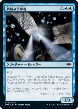 [Janpanese Version] VOW 055 Cruel Witness C