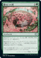 [Foil] [Janpanese Version] VOW 207 Laid to Rest U