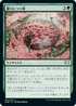 [Foil] [Janpanese Version] VOW 207 Laid to Rest U