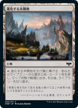 [Foil] [Janpanese Version] VOW 263 Evolving Wilds C