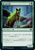 [Foil] [Janpanese Version] VOW 223 Sporeback Wolf C