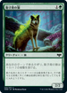 [Foil] [Janpanese Version] VOW 223 Sporeback Wolf C