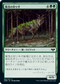 [Foil] [Janpanese Version] VOW 199 Flourishing Hunter C