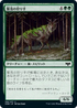 [Foil] [Janpanese Version] VOW 199 Flourishing Hunter C