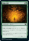 [Foil] [Janpanese Version] VOW 218 Sheltering Boughs C