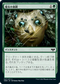 [Foil] [Janpanese Version] VOW 227 Witch's Web C