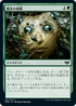 [Foil] [Janpanese Version] VOW 227 Witch's Web C