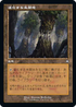 [Janpanese Version] BRO 261 Evolving Wilds C