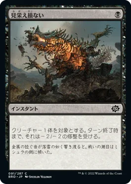 [Janpanese Version] BRO 091 Disfigure C