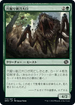 [Foil] [Janpanese Version] BRO 173 Burrowing Razormaw C