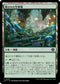 [Janpanese Version] LCI 276 Hidden Nursery C