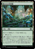 [Janpanese Version] LCI 276 Hidden Nursery C
