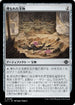 [Janpanese Version] LCI 246 Buried Treasure C