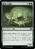 [Janpanese Version] LCI 203 Nurturing Bristleback C