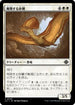[Janpanese Version] LCI 035 Soaring Sandwing C