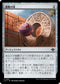 [Janpanese Version] LCI 251 Contested Game Ball U