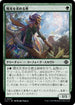 [Janpanese Version] LCI 210 Seeker of Sunlight C
