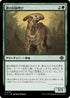 [Janpanese Version] LCI 174 Armored Kincaller C