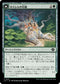 [Janpanese Version] LCI 197 Kaslem's Stonetree C