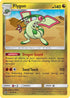 DRM 39/70 Flygon U