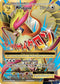EVO 105/108 M Pidgeot EX SR