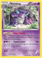 STS 45/114 Nidoking R