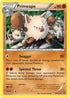 STS 53/114 Primeape R
