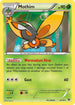 FCO 4/124 Mothim R