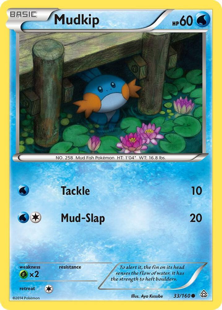 PRC 33/160 Mudkip C