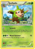 XY 13/146 Quilladin U