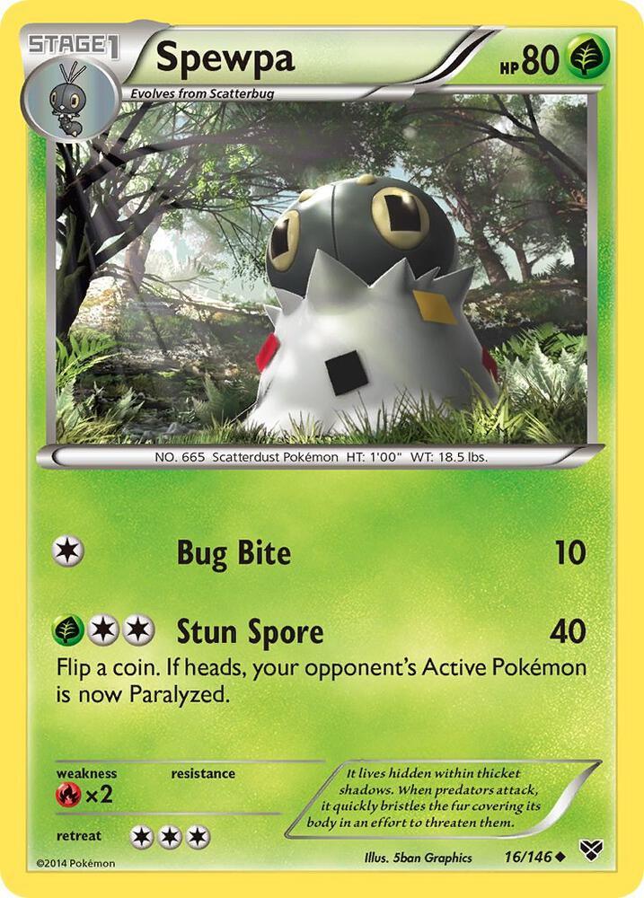 XY 16/146 Spewpa U
