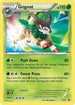 XY-P XY16 Gogoat - XY17