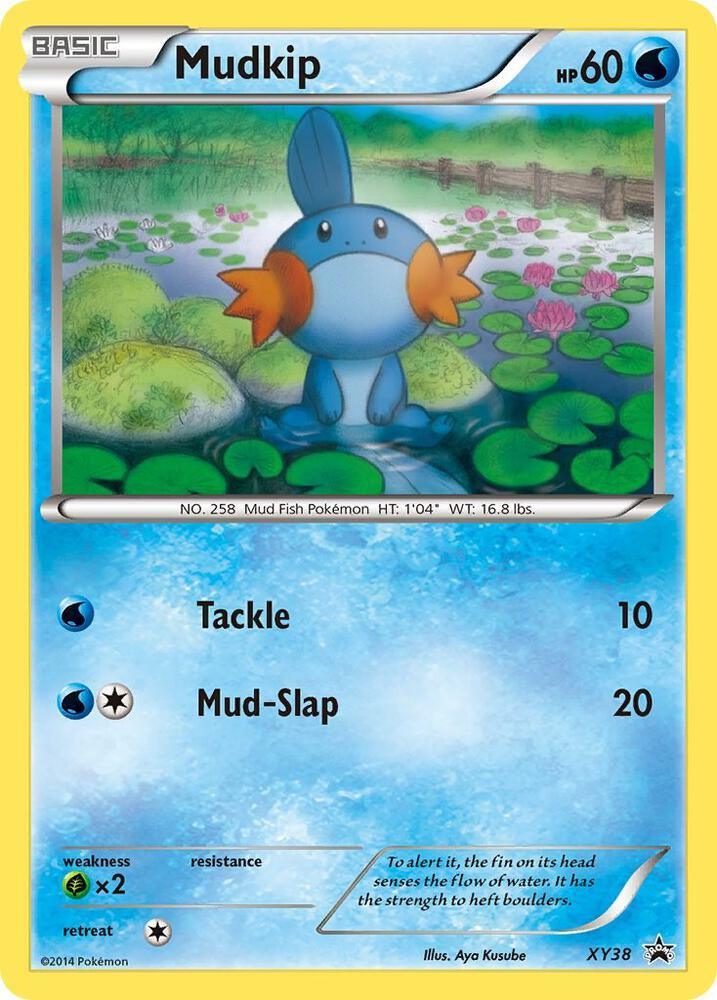 XY-P XY38 Mudkip - XY39