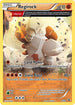 XY-P XY49 Regirock - XY49
