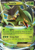 XY-P XY53 Sceptile EX - XY53
